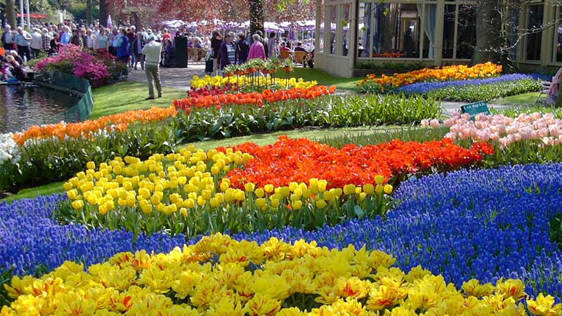 Holland