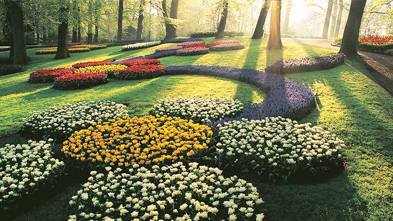 Holland med blomstertåget