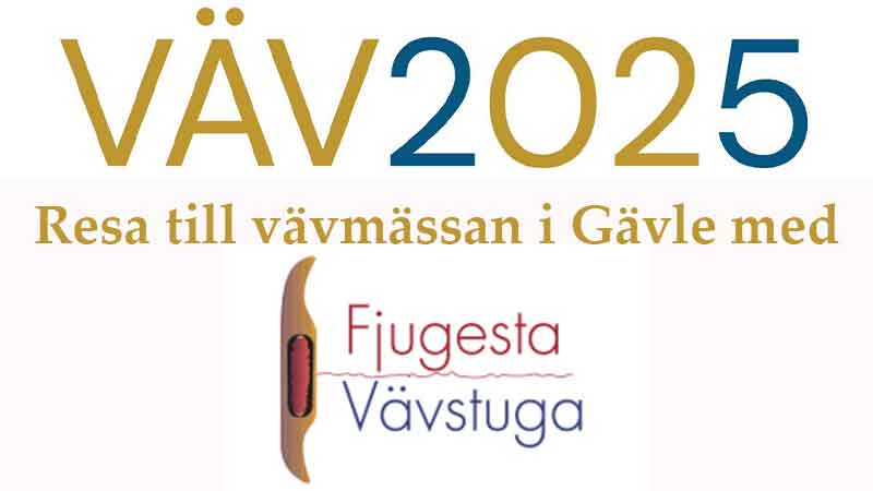 Vvmssan i Gvle - VV 2025